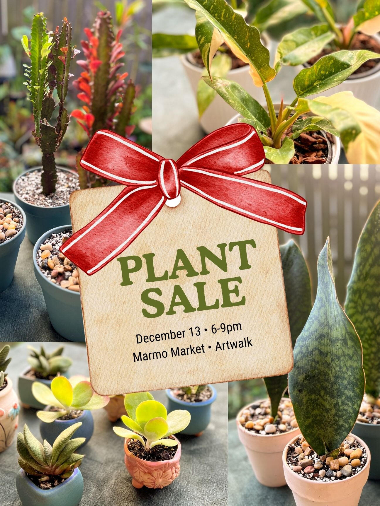 Plant sale! soft focused photo of potted house plants with text "Plant sale! Sat Aug 9, 6-9pm Marmo Market Galveston"