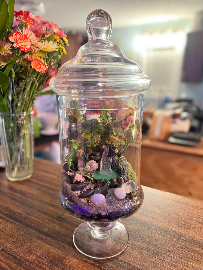 Leaf Love Studio Terrarium, photo by Rox Grover
