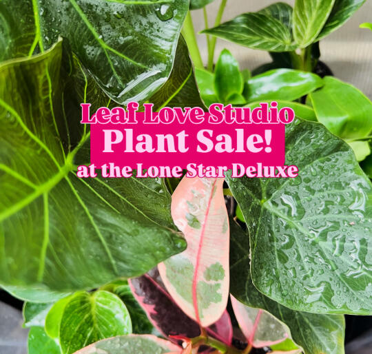 Plant sale! Lonestar deluxe May 9 Leaf Love Studio Lone Star Deluxe event graphic